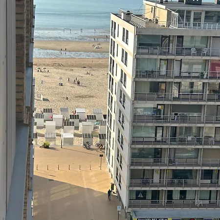 'salt, Near The Sea Ostend
